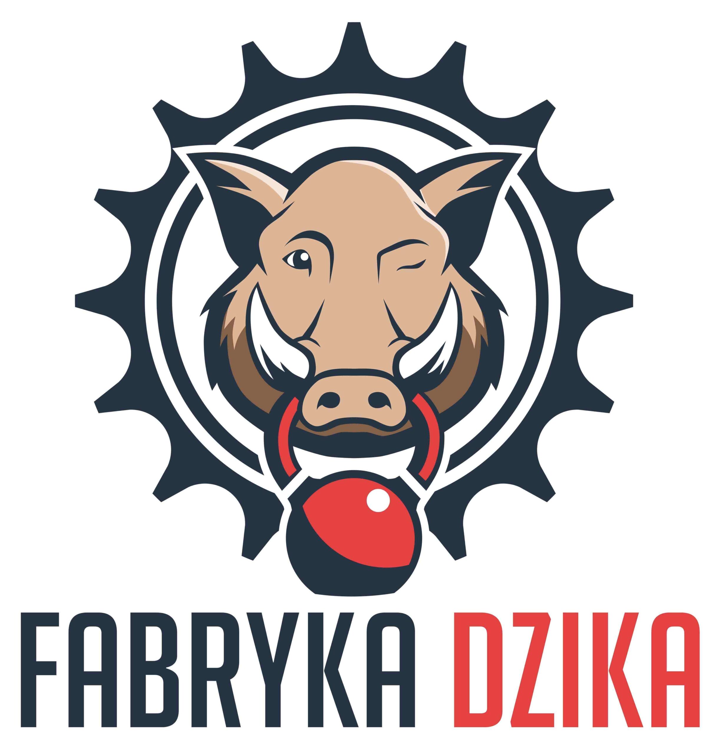 Gdzie warto trenować polecane miejsce klub fitness Fabryka Dzika Pabianice