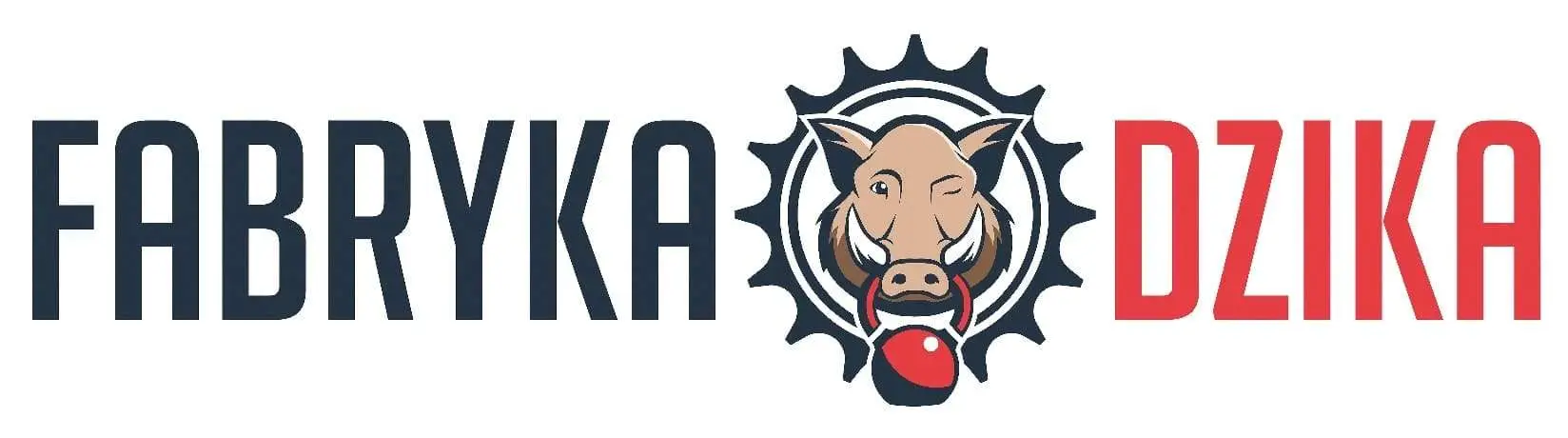 Klub fitness Pabianice Fabryka Dzika zajęcia fitness trening personalny